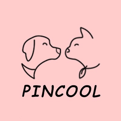 Pincool Ph Online Shop Shopee Philippines