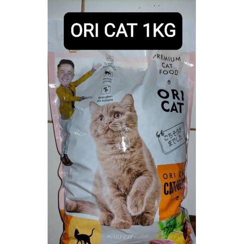 Cheap Cat Food Ori Cat 1kg Shopee Philippines