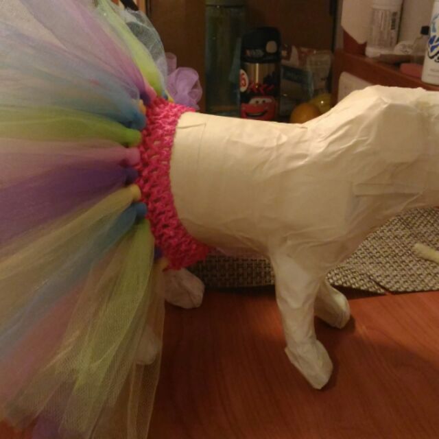 Tutu skirt hotsell for dogs