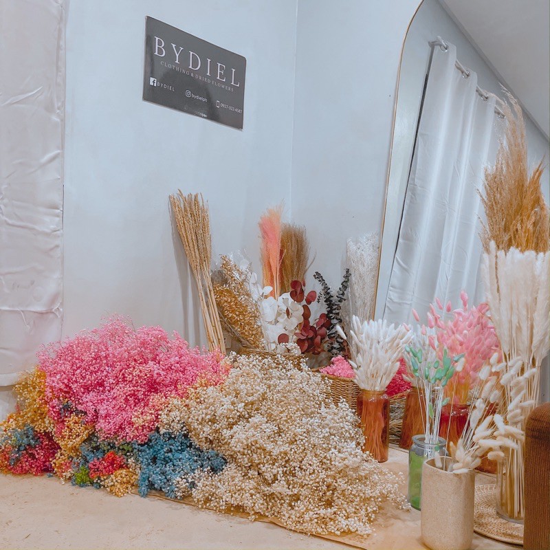 Shop baby's breath for Sale on Shopee Philippines