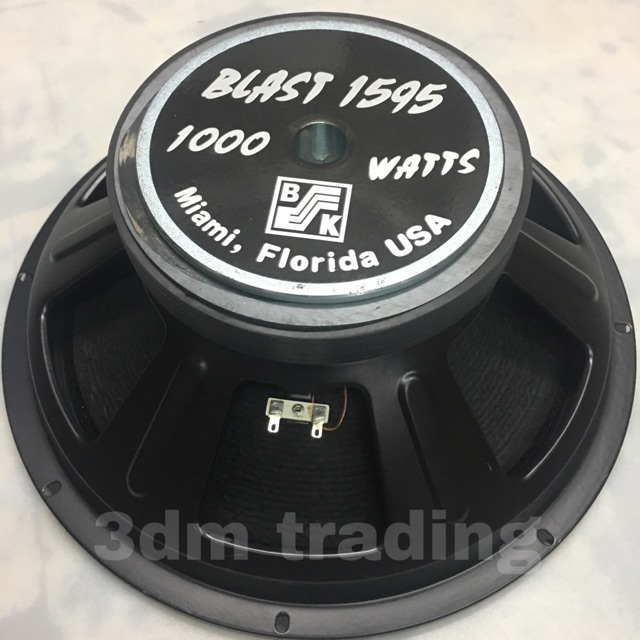 Instrumental speaker for store sale