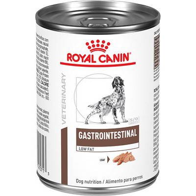 Royal canin 2024 dog food digestive