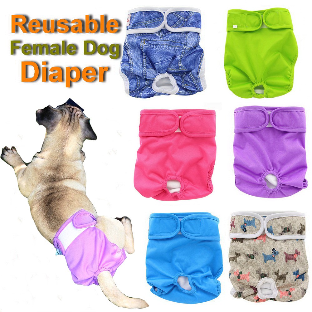 Pet magasin hotsell reusable dog diapers