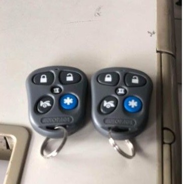 Autopage car store alarm remote replacement