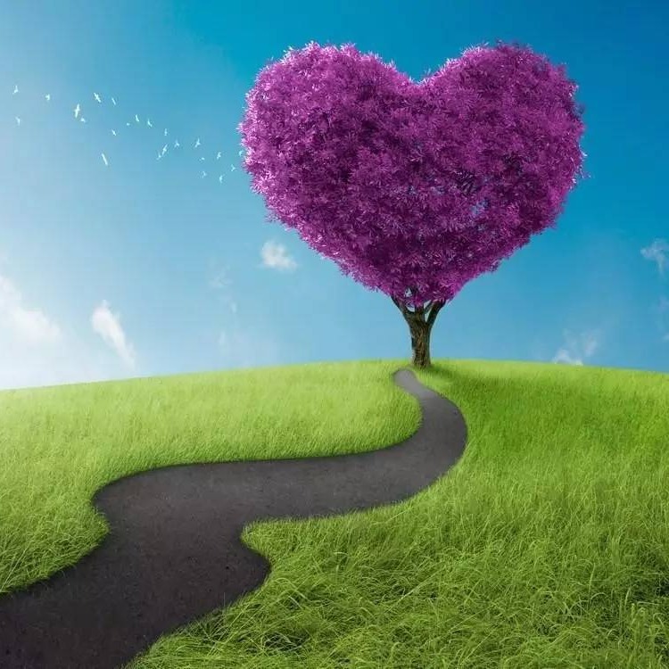 our.shoes, Online Shop Shopee Philippines