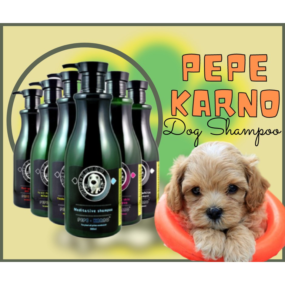 Pepe karno outlet shampoo