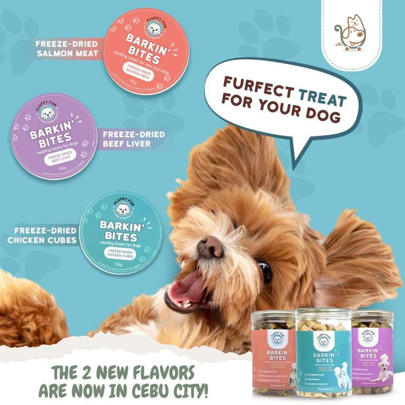 Healthy treats for cats and dogs
