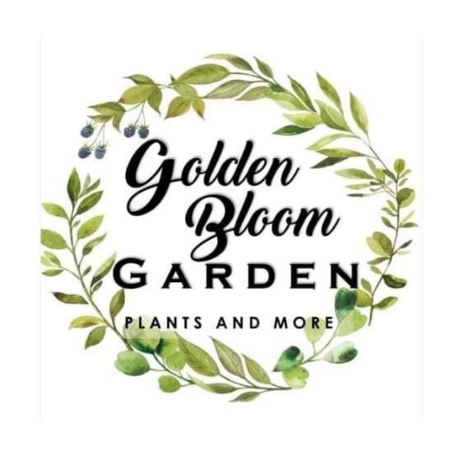 Golden BLOOM Garden, Online Shop Shopee Philippines