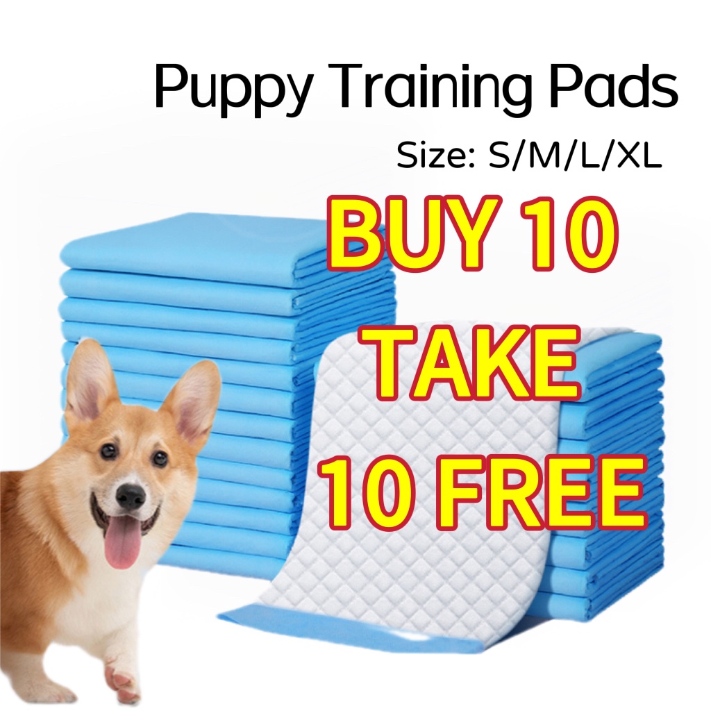 Training puppy to poop on pad sales