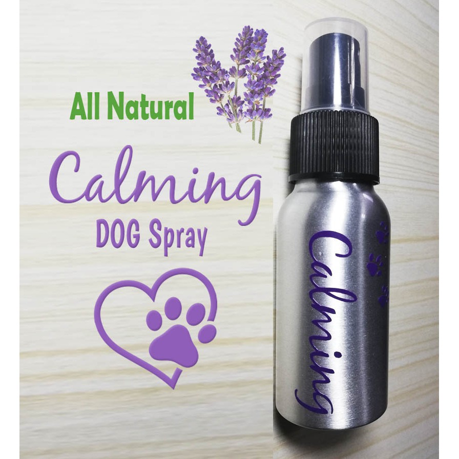 Diy calming outlet spray for dogs