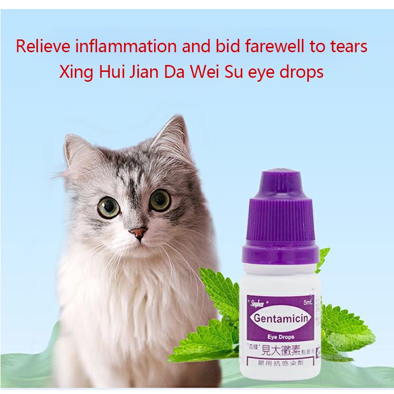 Anti inflammatory eye drops hotsell for dogs