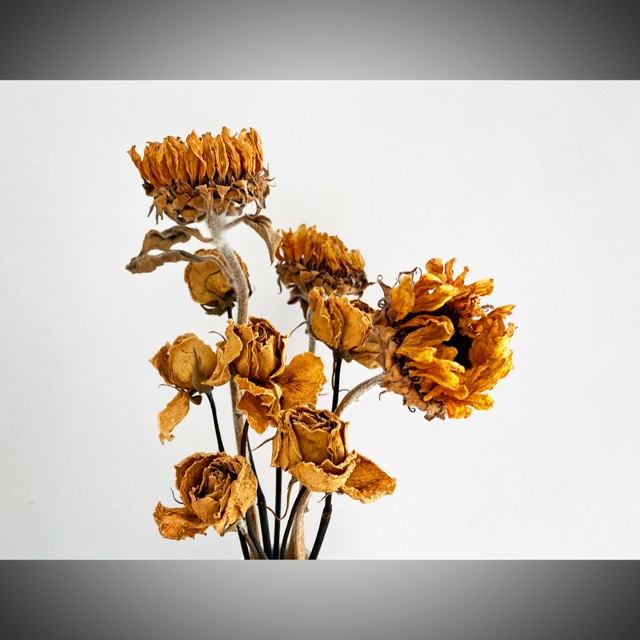 Pots de Manila, Online Shop Shopee Philippines