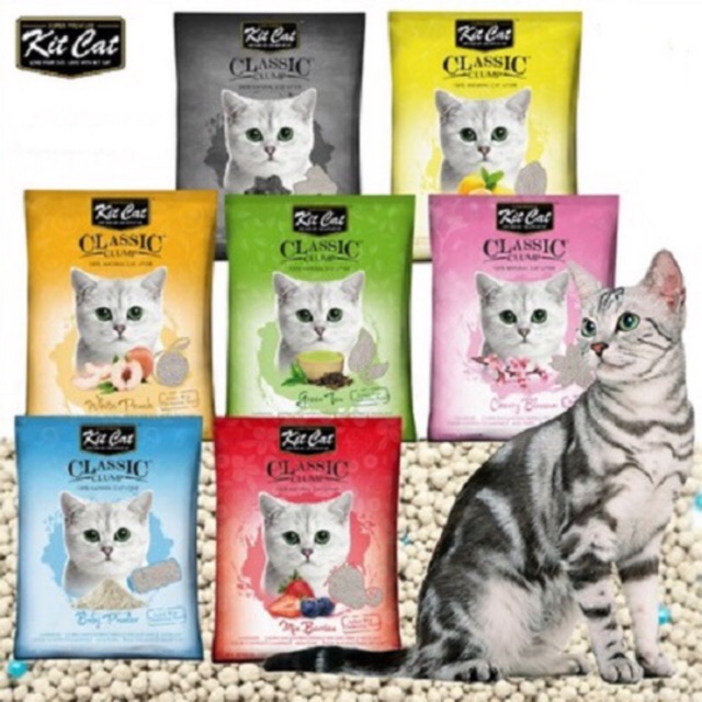 Kitcat litter outlet