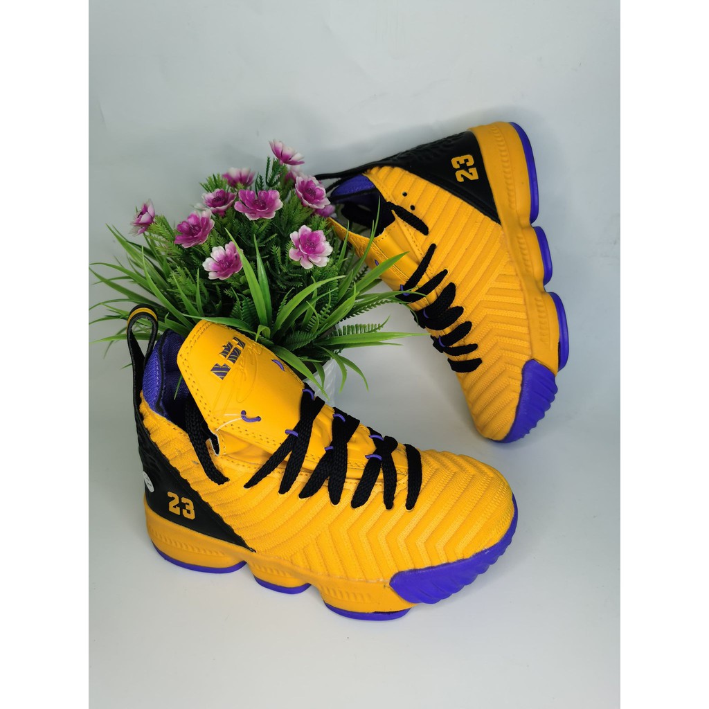 Lebron 16 shoes store kids