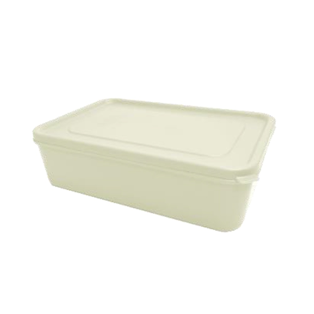 Urban Kitchen Rectangular Disposable Container with Lid