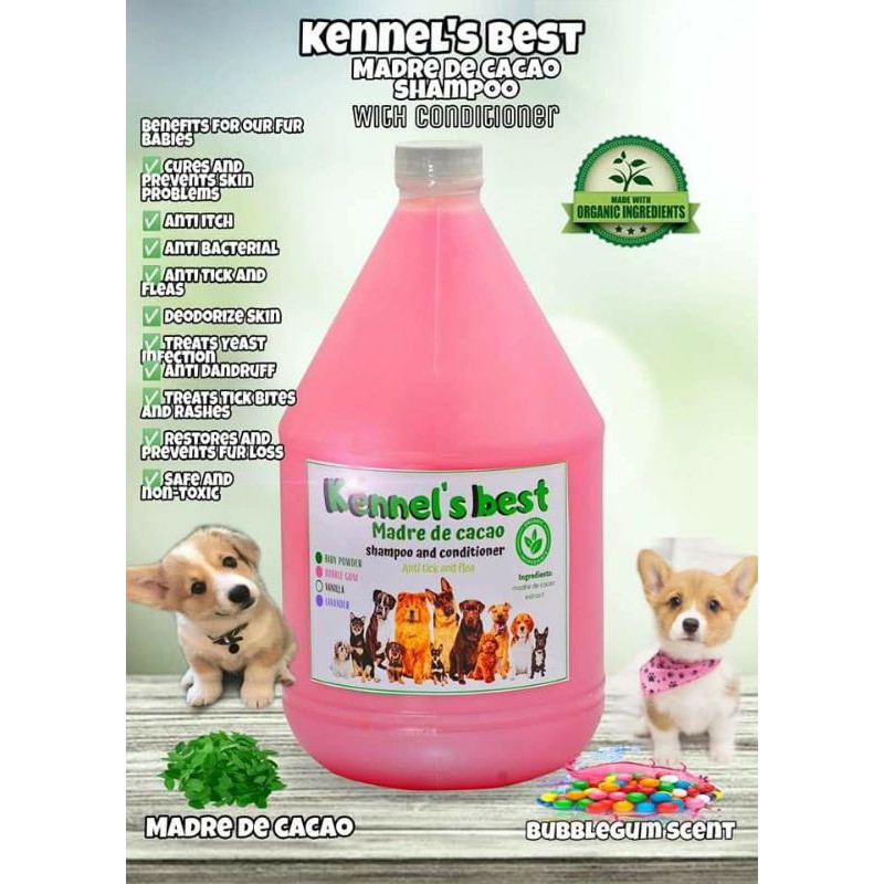 Shellguard dog clearance shampoo