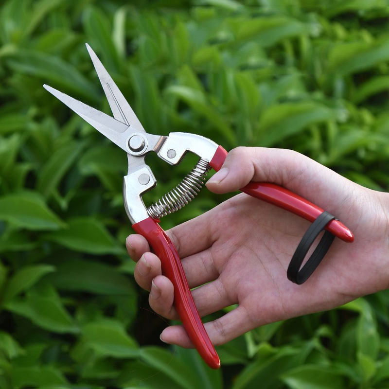 Pruning Shears Flower Fruit Tree Garden Shears Stainless Steel Garden  Scissors Trimming Gardening Secateurs