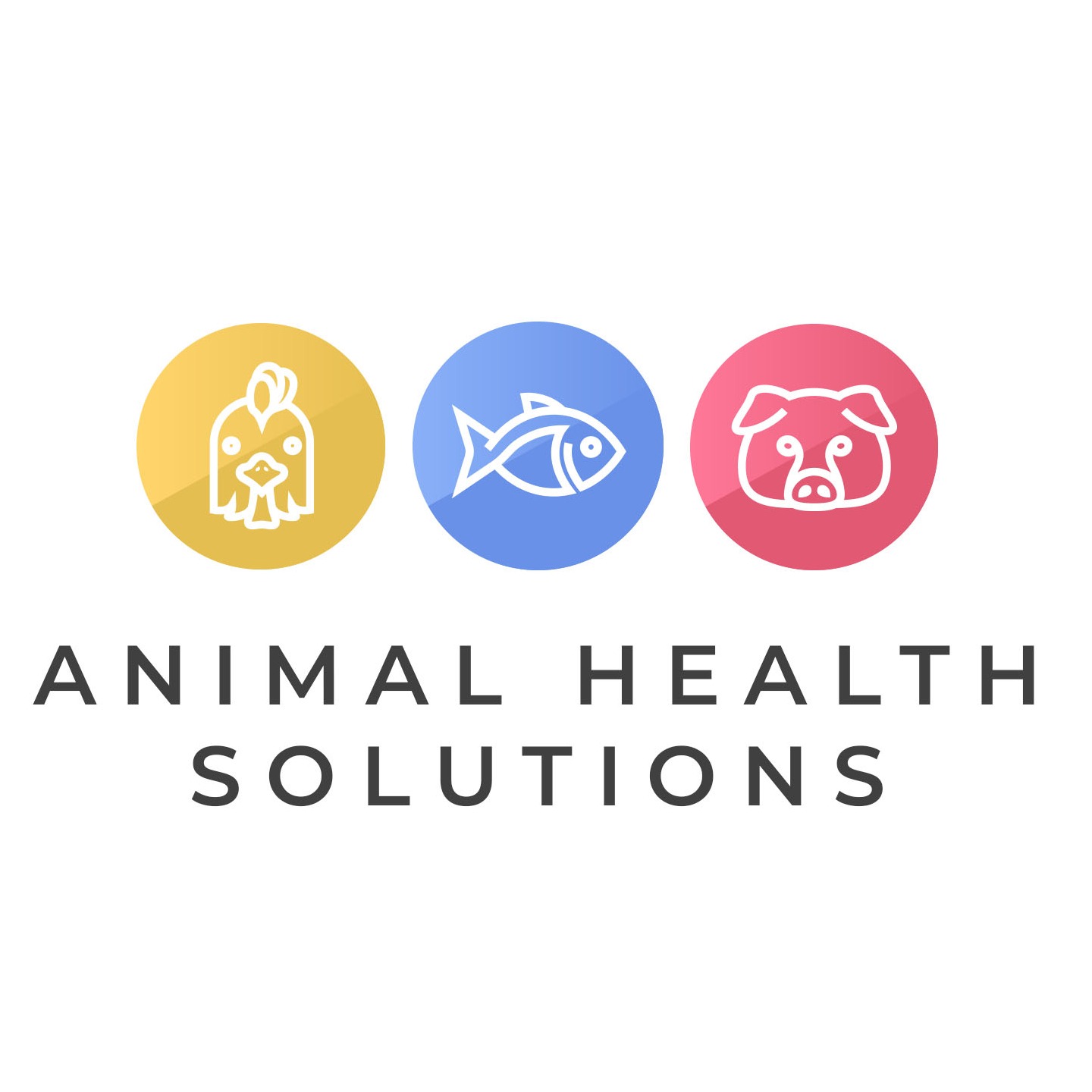 Animal Health Solutions, Online Shop Shopee Philippines