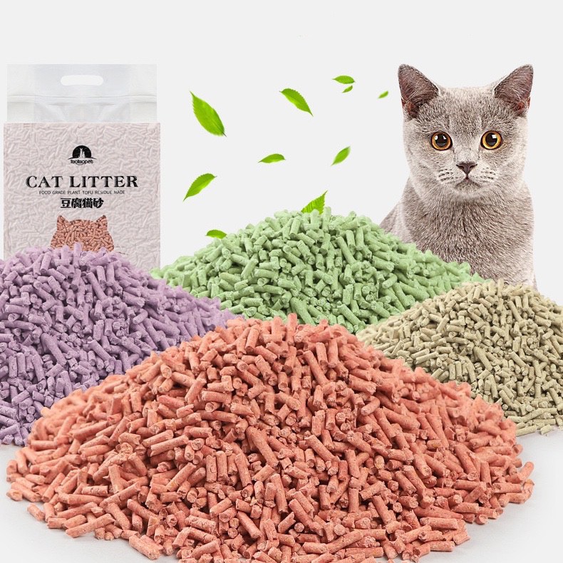 Cat eating litter outlet sand