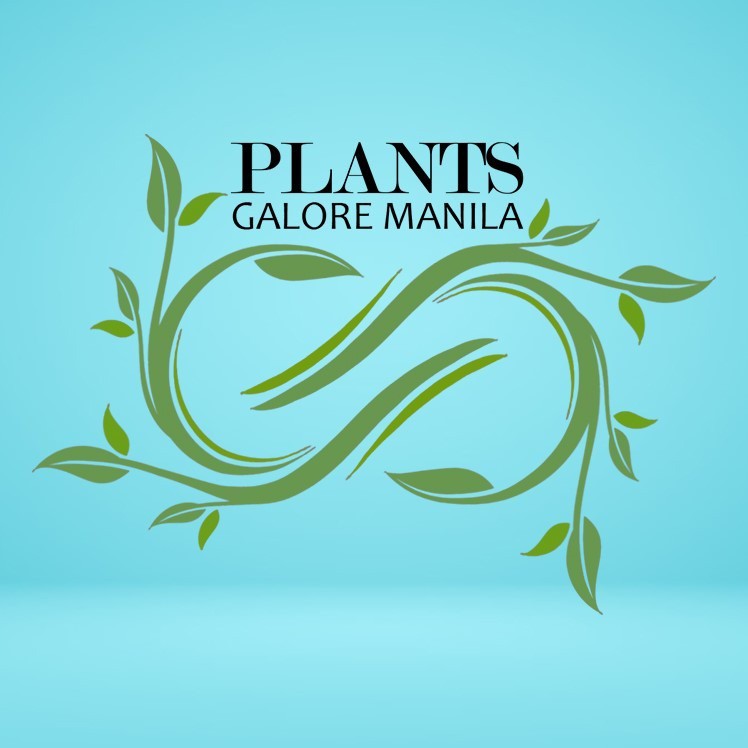 Plants Galore Manila, Online Shop Shopee Philippines