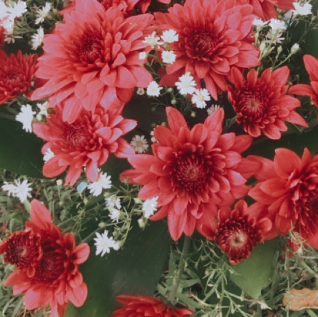 krt_ph, Online Shop Shopee Philippines