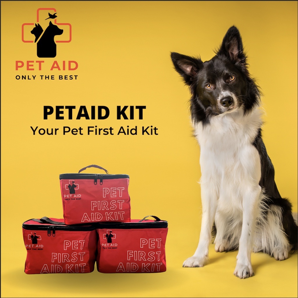 Best pet hotsell first aid kit