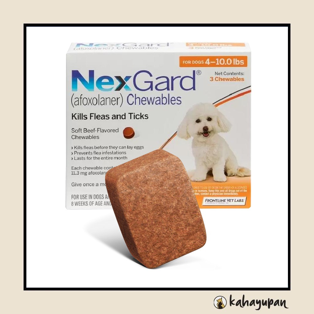 Small dog flea 2024 and tick chewable