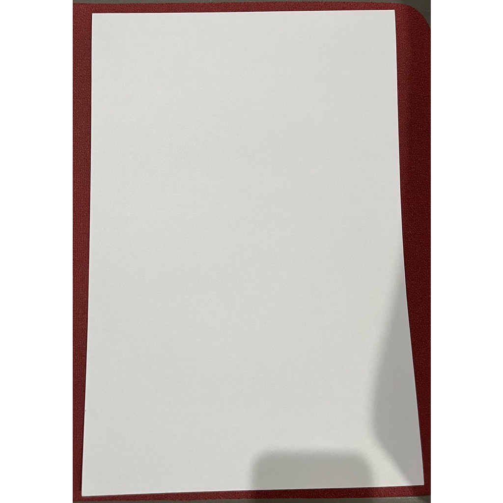 ILLUSTRATION BOARD size 1/8 , 2 PLY WITH INDIVIDUAL PLASTIC ,sold