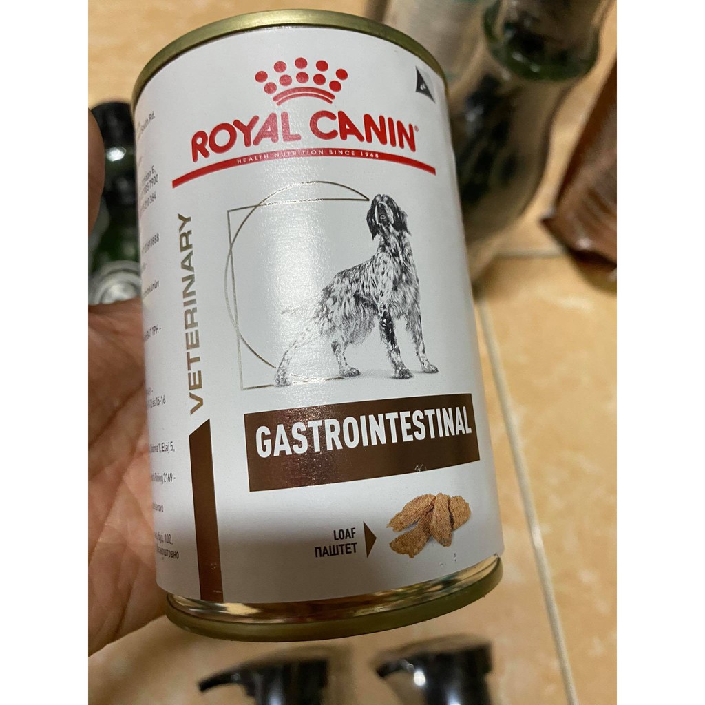 Gastrointestinal royal canin outlet wet dog food