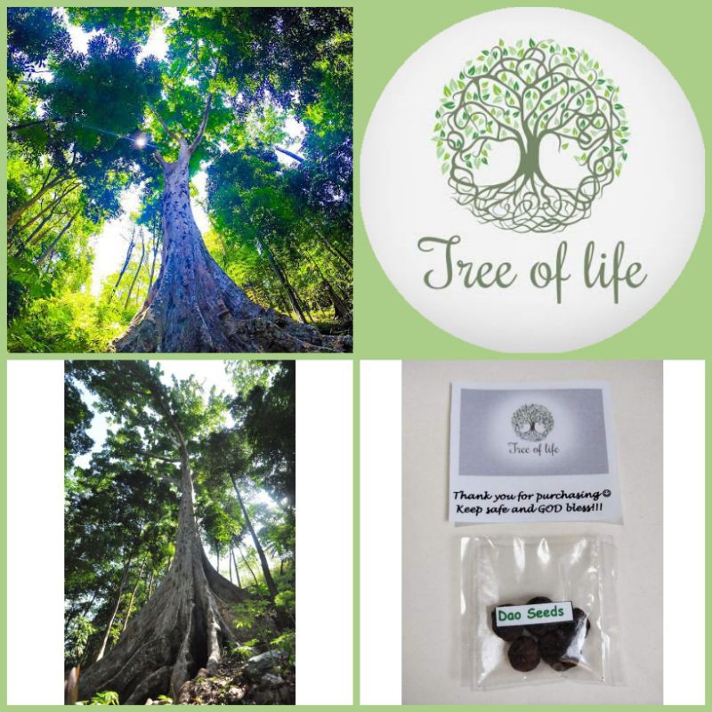 Tree Of Life – Convergent Shoppe