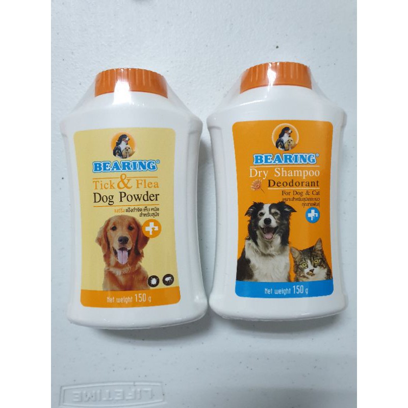 Dry flea outlet shampoo