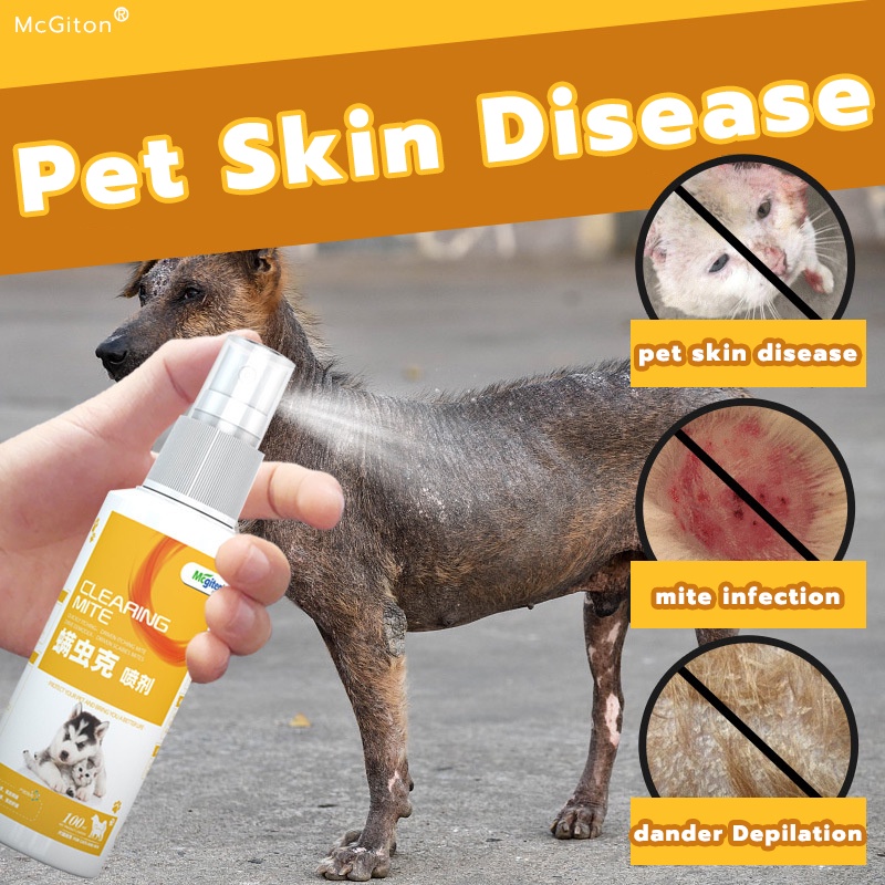 Dog skin best sale infection spray