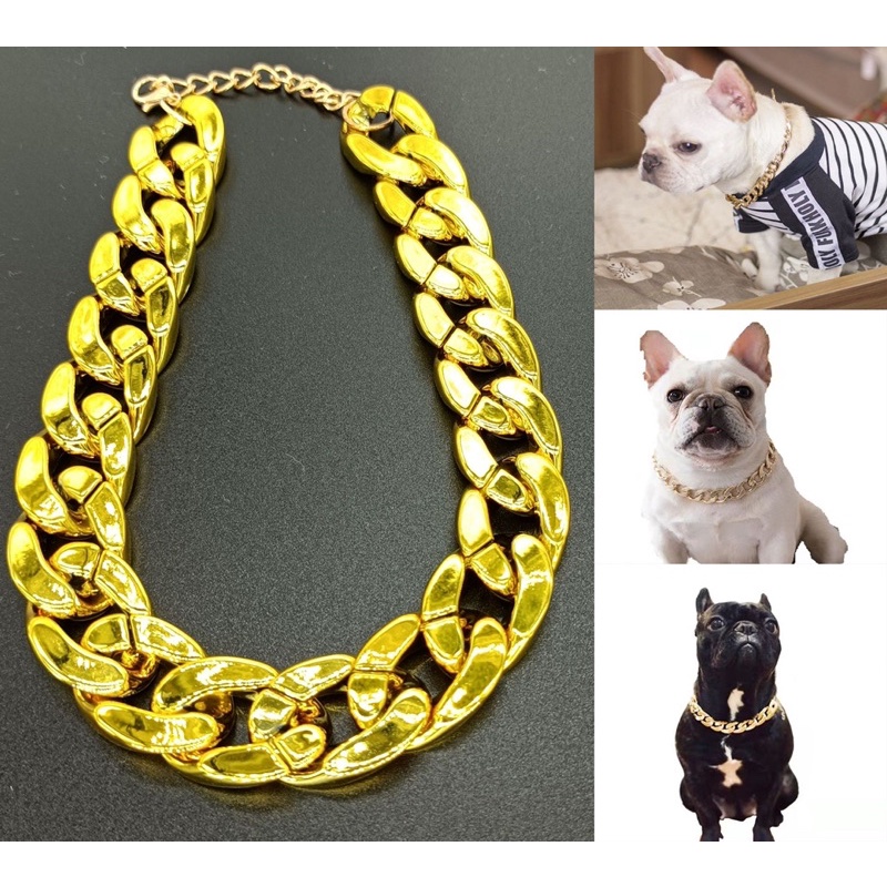 Thick gold chain store dog collar