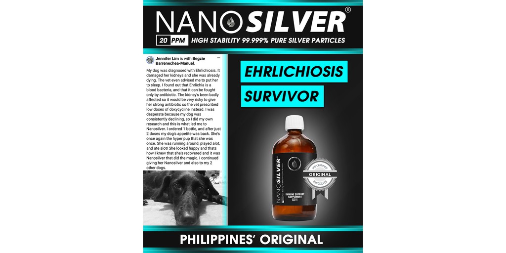 Shop nano shield for Sale on Shopee Philippines