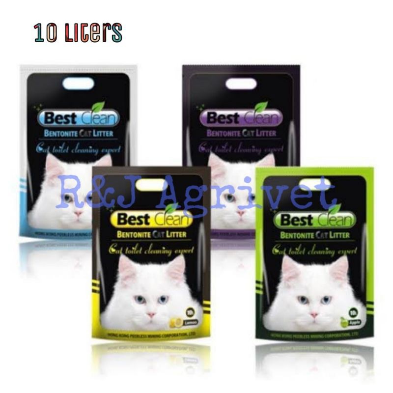 Best store litter sand
