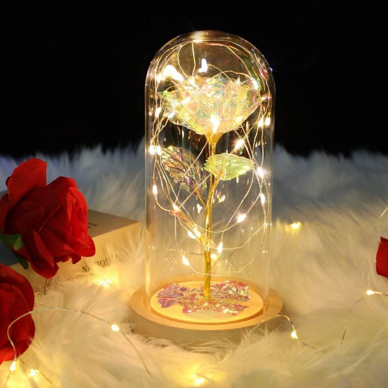 Rose in glass dome deals with lights