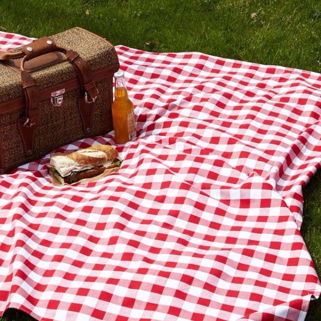 Picnic blanket red clearance white checkered