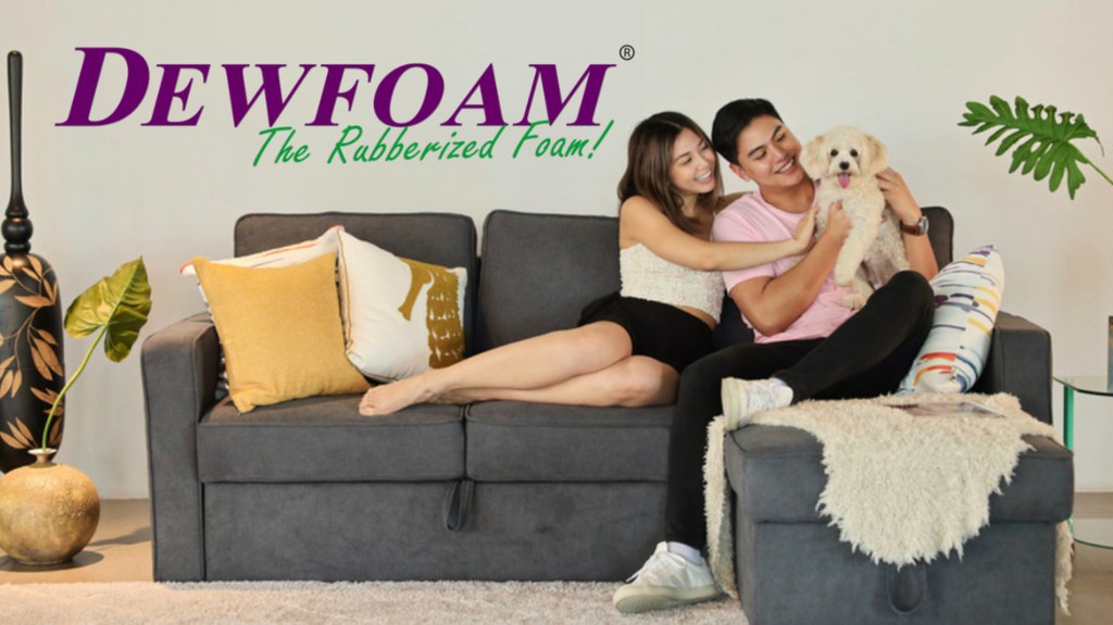 Dew foam deals sofa bed price