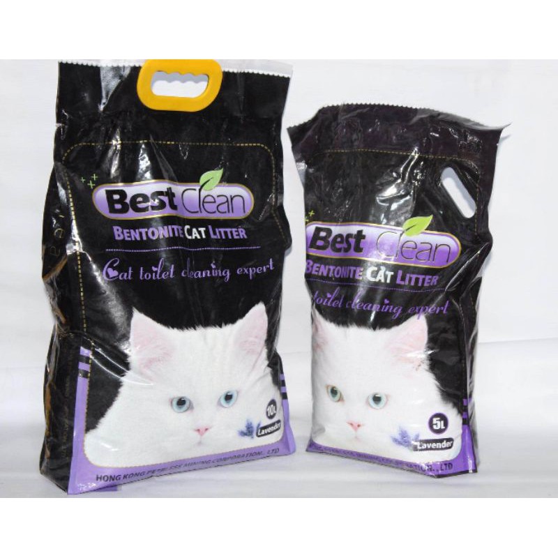 Best cat outlet sand