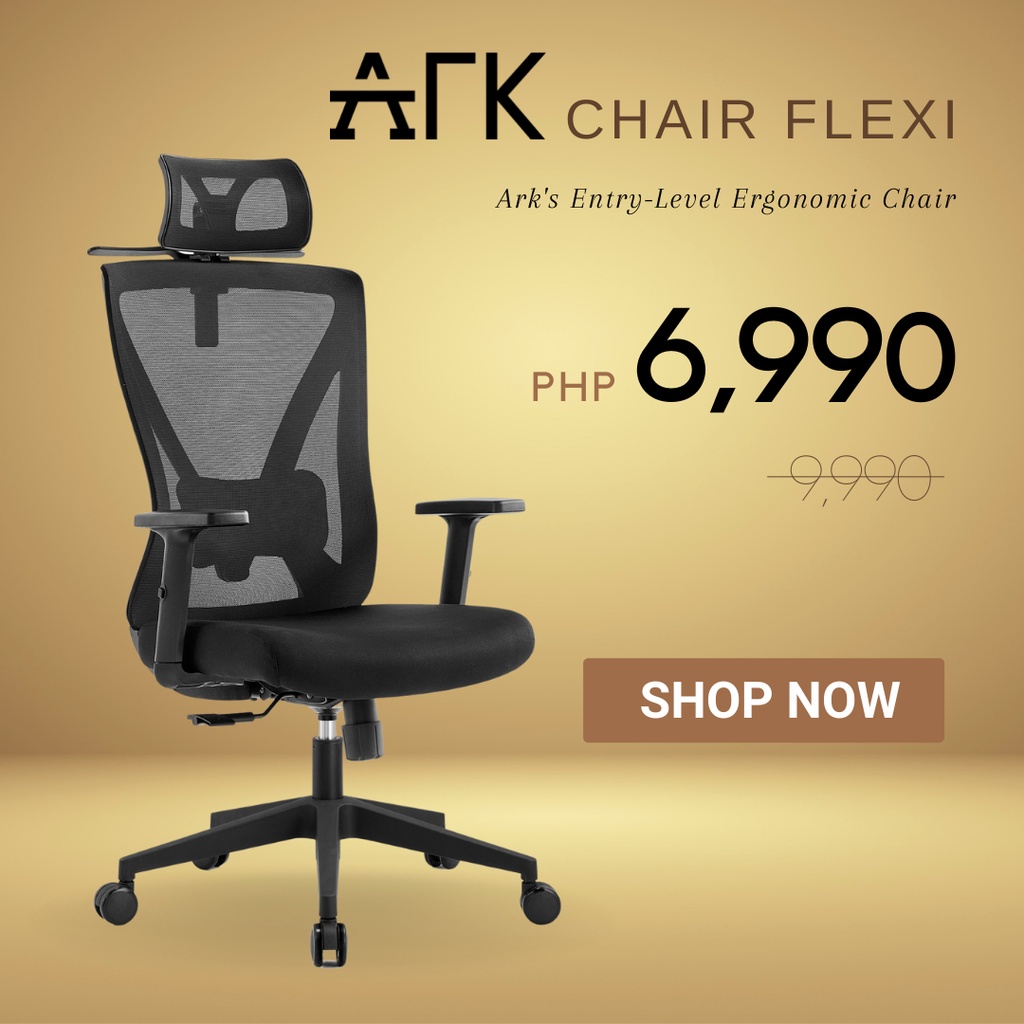 Desk Shelf  Ark Ergonomics Philippines