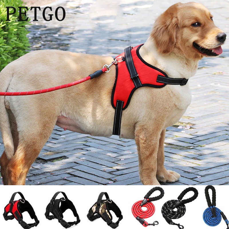 Dog harness best sale with lead