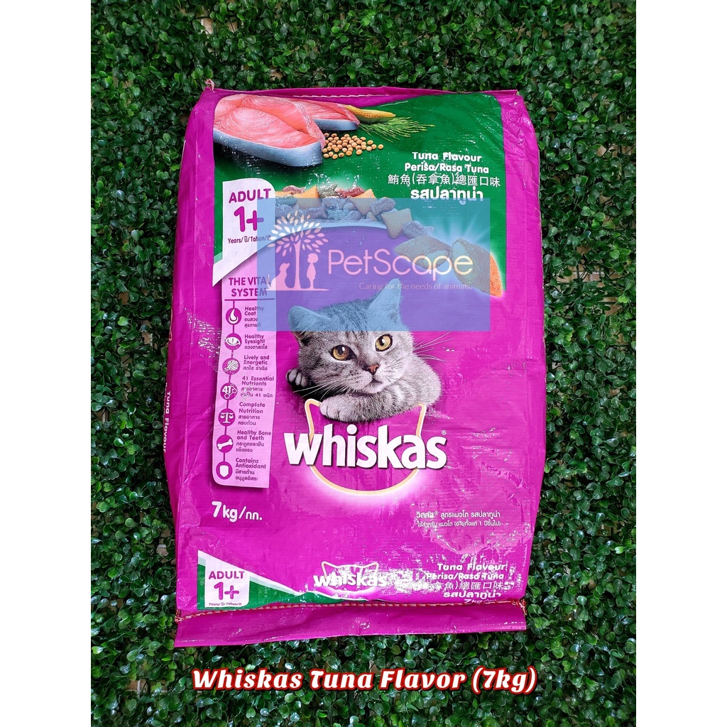 Whiskas dry cat outlet food 7kg