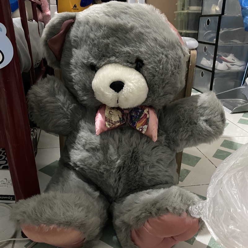 Teddy precious cheap