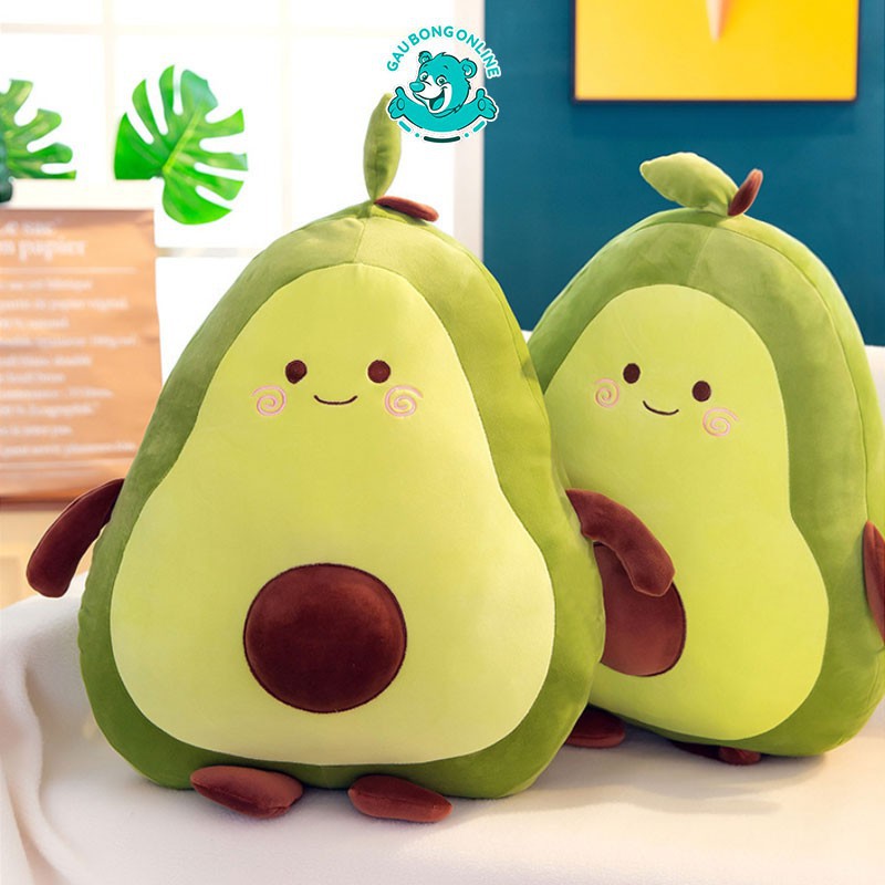 Teddy avocado best sale