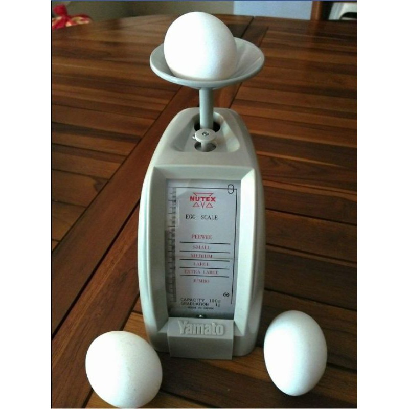 Eggs scale outlet