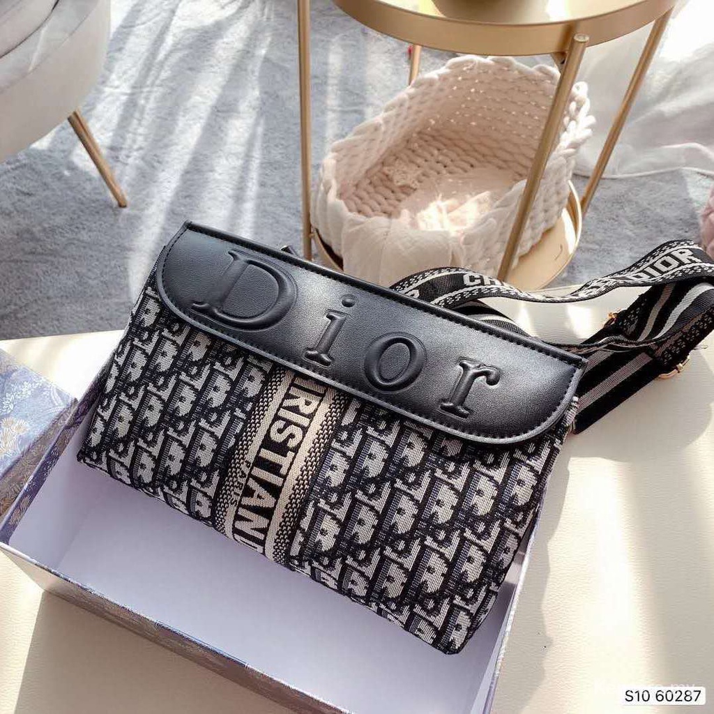Dior bag 2025 square