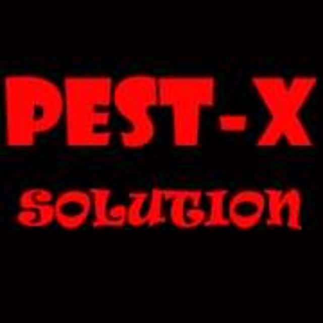 PestX Solution, Online Shop Shopee Philippines