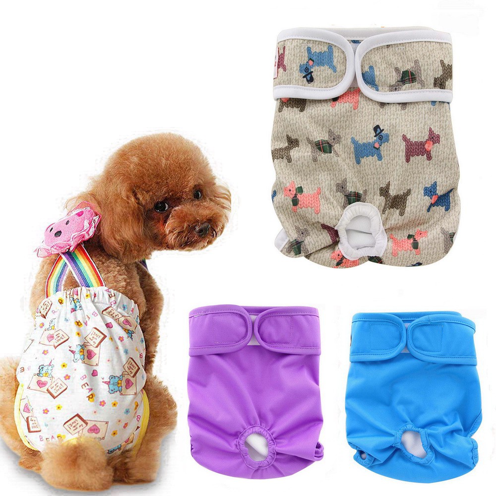 Puppy diapers for potty 2024 training