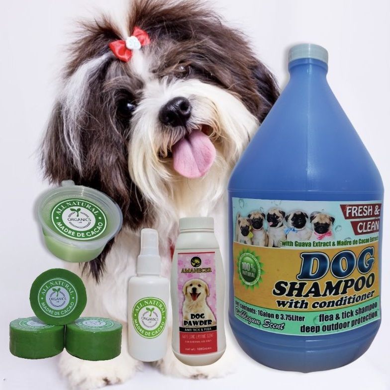 Shampoo for 2025 shih tzu philippines