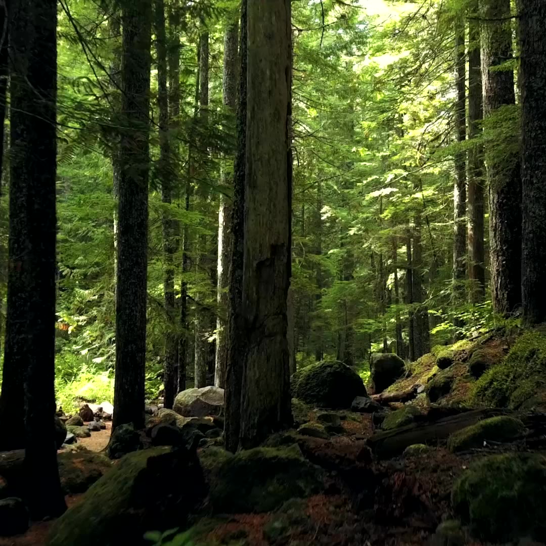 GMEELAN Official Store, Online Shop | Shopee Philippines